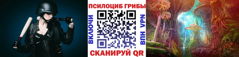 darknet официальный сайт  Княгинино  Псилоцибиновые грибы мицелий 